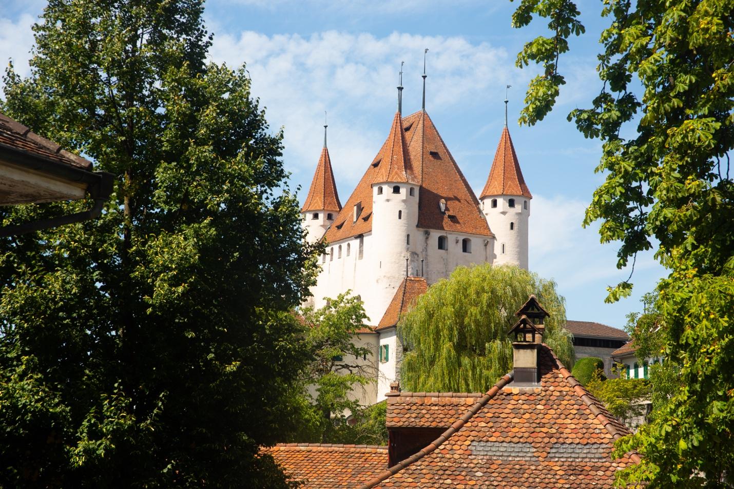 A castle with a red roof

Description automatically generated