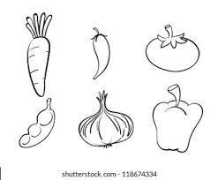 image of veegtables', carrot, tomato, onion