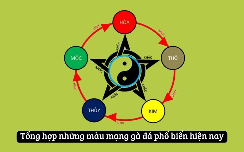 Tổng hợp những màu mạng gà đá phổ biến hiện nay