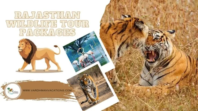 Rajasthan Wildlife Tour