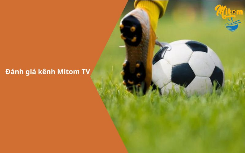 Đánh giá kênh xem bóng đá chất lượng đỉnh cao Mitom TV-2