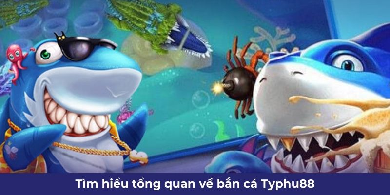 tim-hieu-tong-quan-ve-ban-ca-typhu88