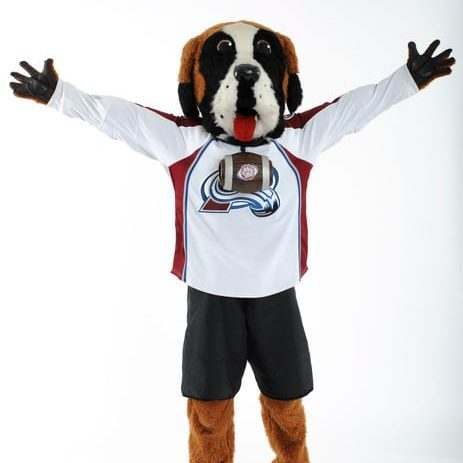 Top 10 Mascots in the NHL - Bellisario College Student Media