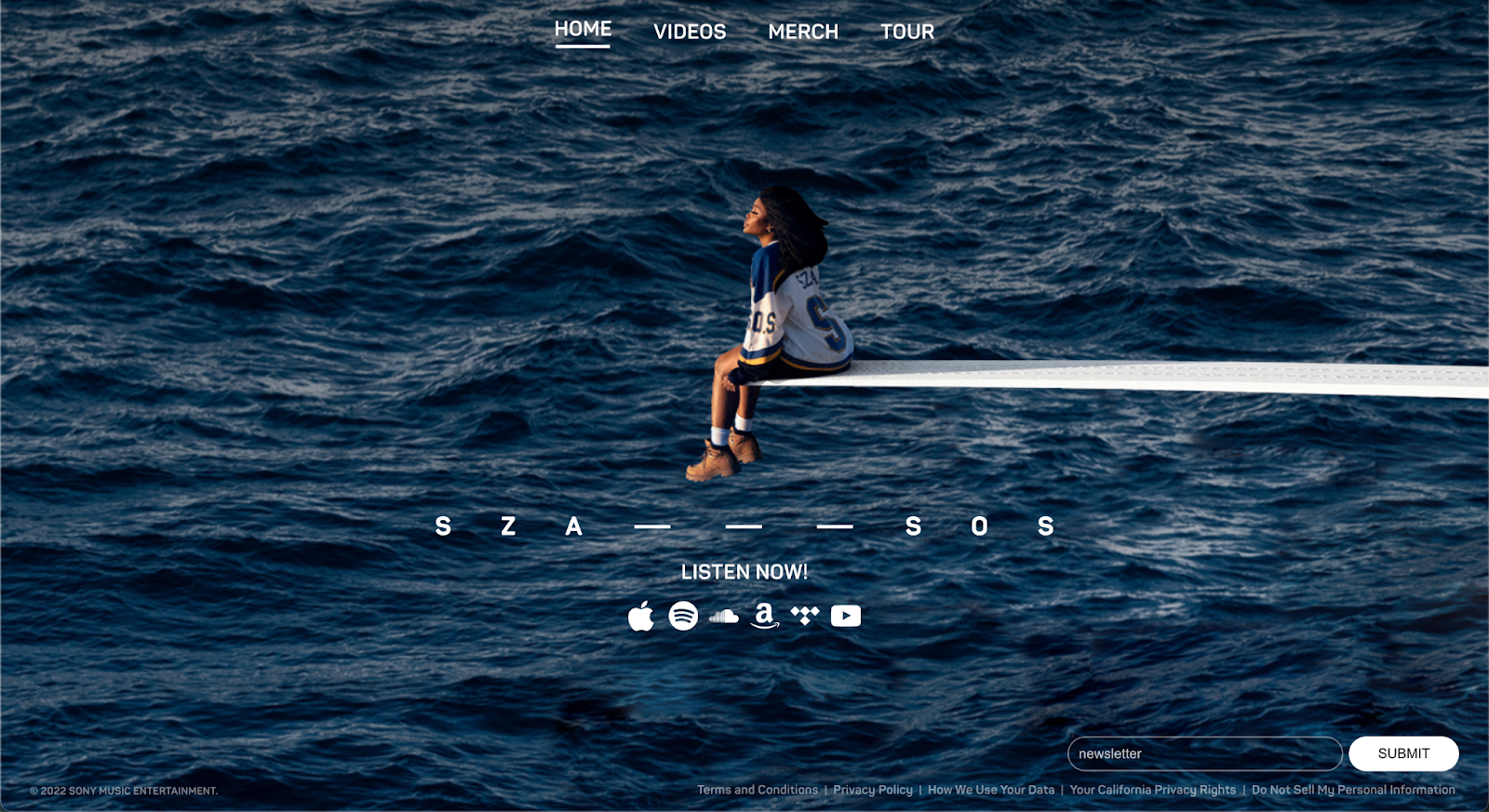 musician website example, sza