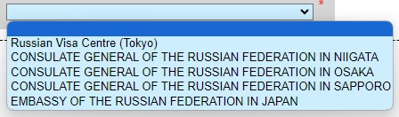 ロシア電子査証申請書 作成画面 申請先一覧