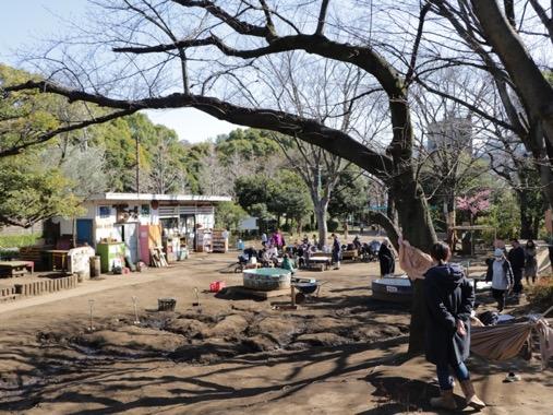 屋外, 木, 公園, 民衆 が含まれている画像

自動的に生成された説明