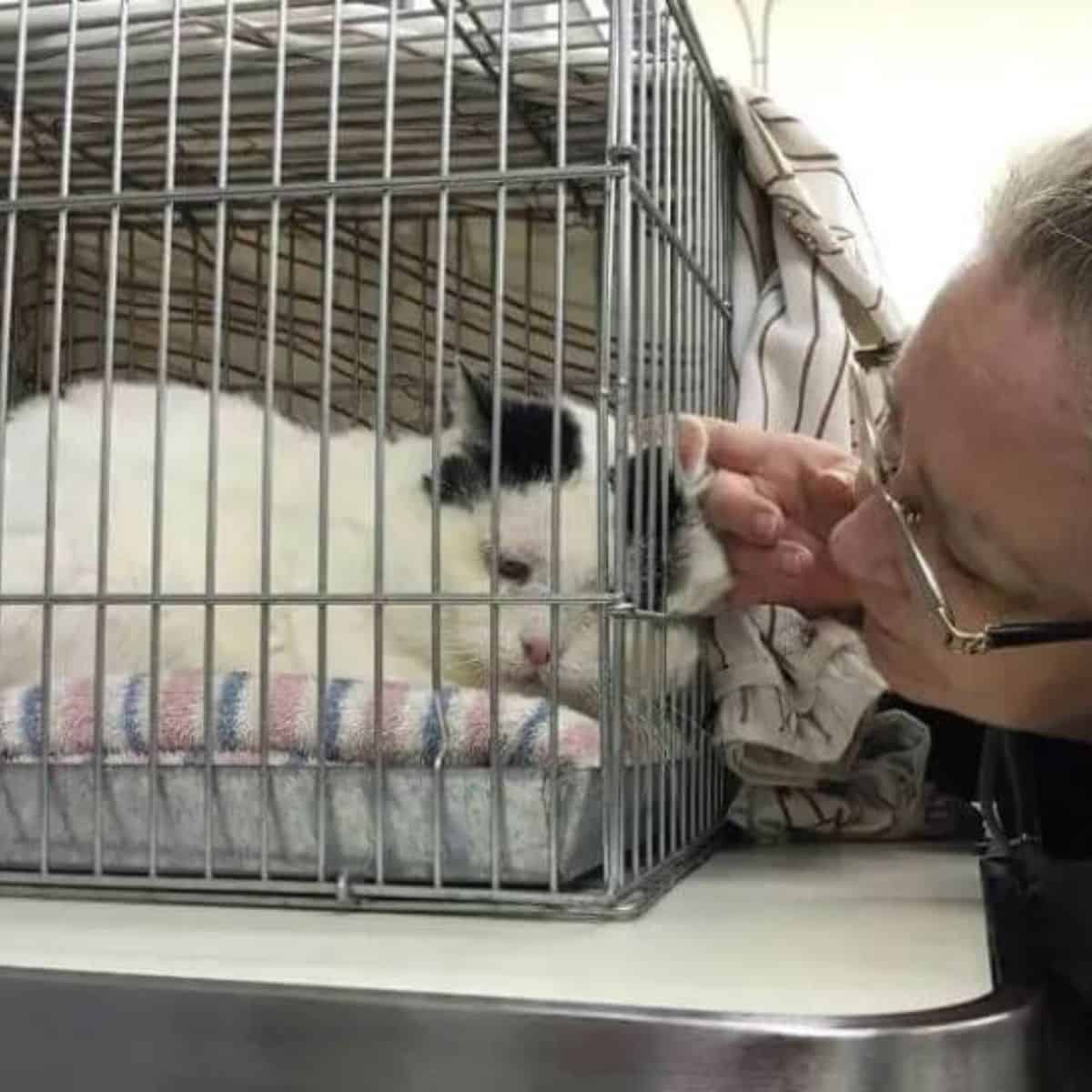 owner and the cat in the cat cage