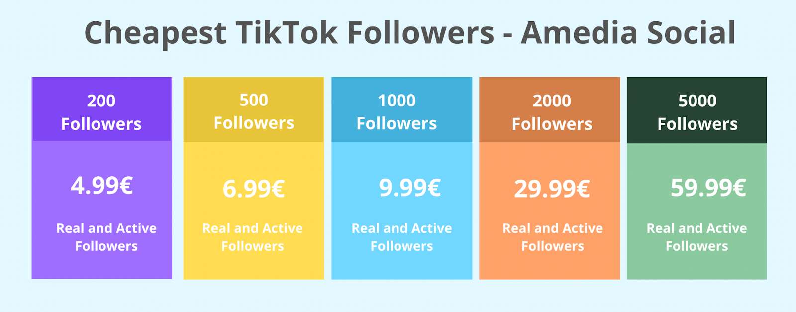 TikTok Followers