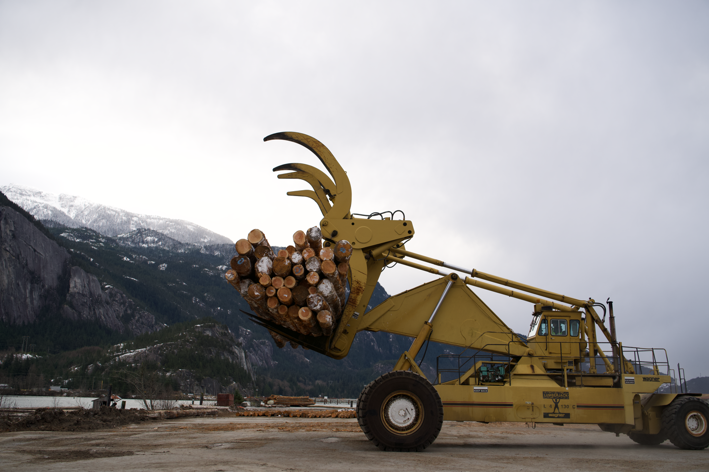 A yellow tractor with a load of logs

Description automatically generated