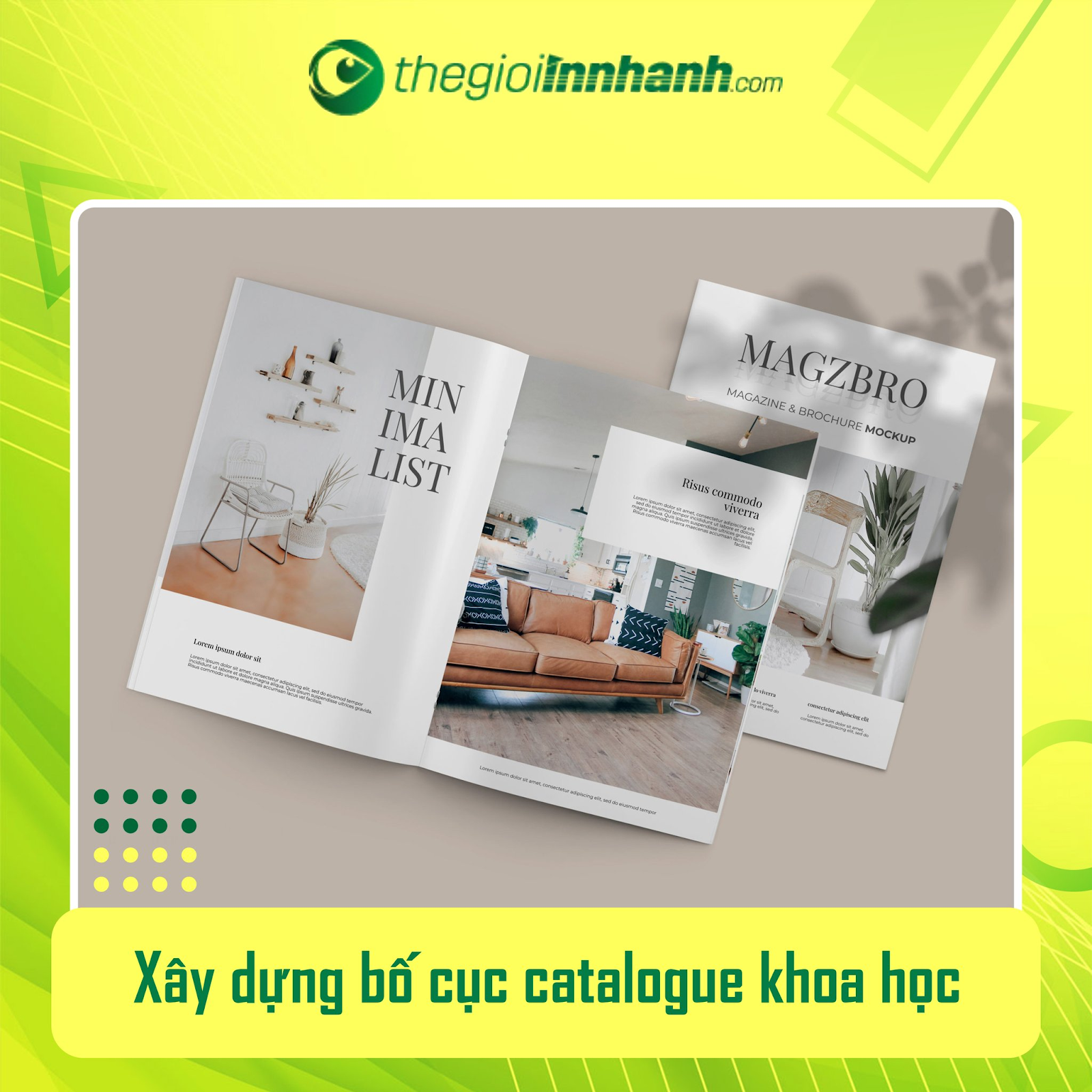 in catalogue cao cấp