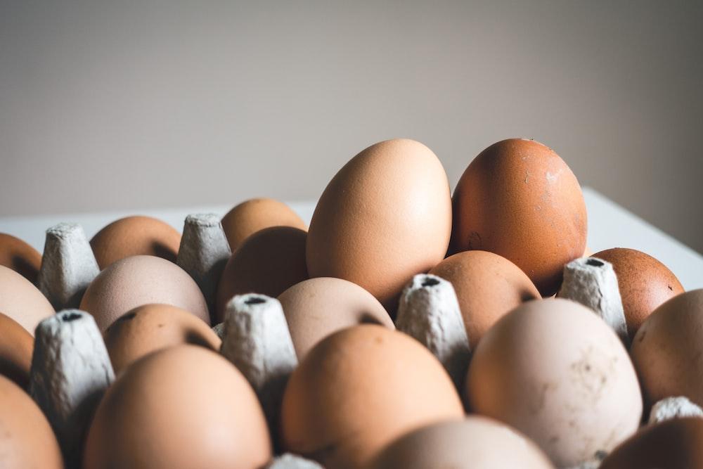 Eggs Pictures [HD] | Download Free Images on Unsplash