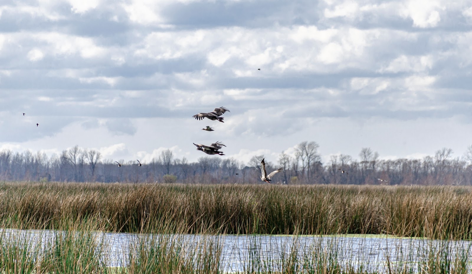 Escapadas naturales cerca de Buenos Aires: los mejores destinos para respirar aire puro