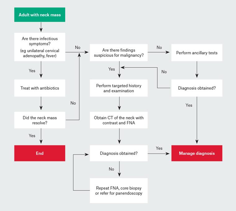 Figure 2. Flowchart for work-up of adults with a neck mass