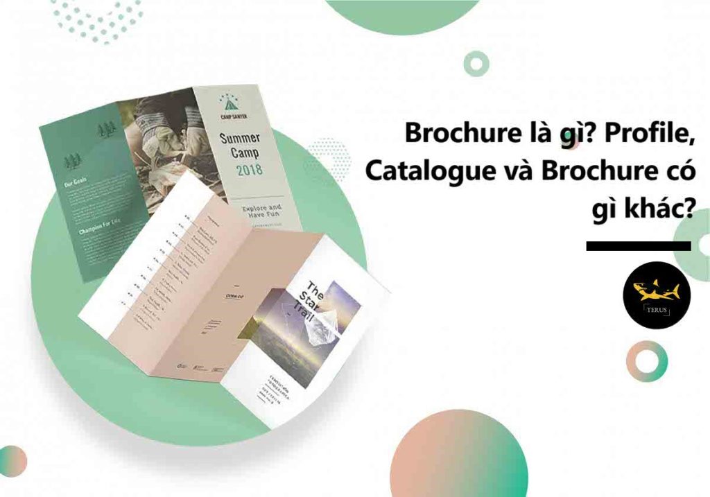 Brochure là gì? Profile, Catalogue và Brochure có gì khác?