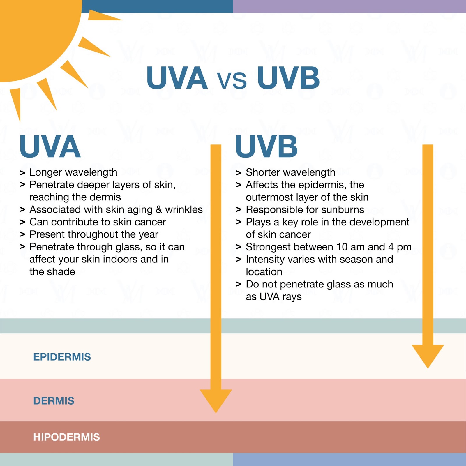 An infographic showing the difference between UVA and UVB rays and how these affects the skin such as wrinkles.
