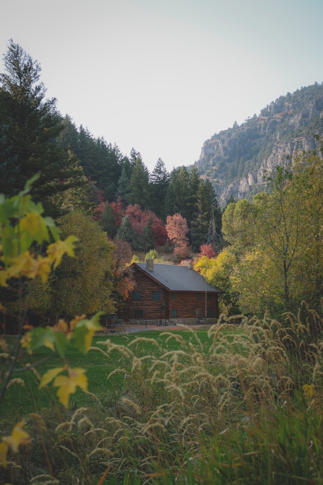 site analysis is essential for the design of hillside homes