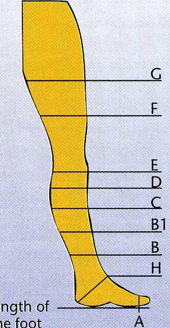 Illustrazione 50 - Chirurgia Vascolare