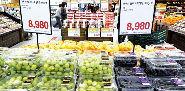 이맘때 과일 이미지