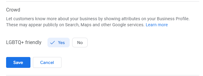 A screenshot showing the Crowd section on Google Business Page settings, with the Yes box ticked next to LGBTQ+ friendly.