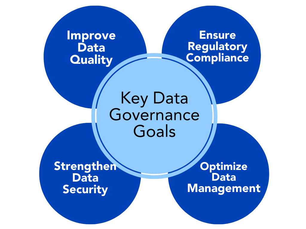 common data governance goals