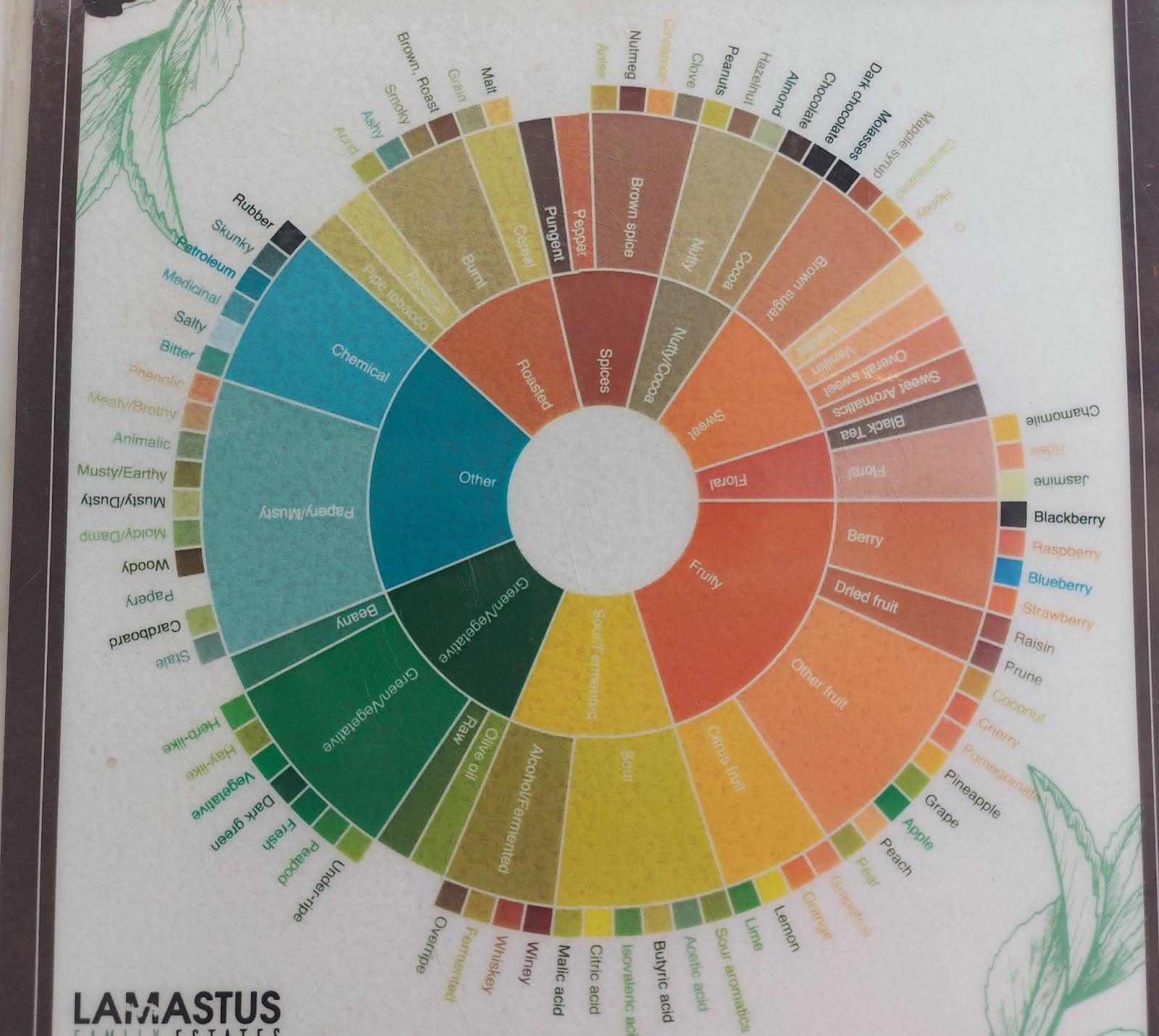  A close-up of the SCA Coffee Taster's Flavor Wheel displaying various flavor categories.