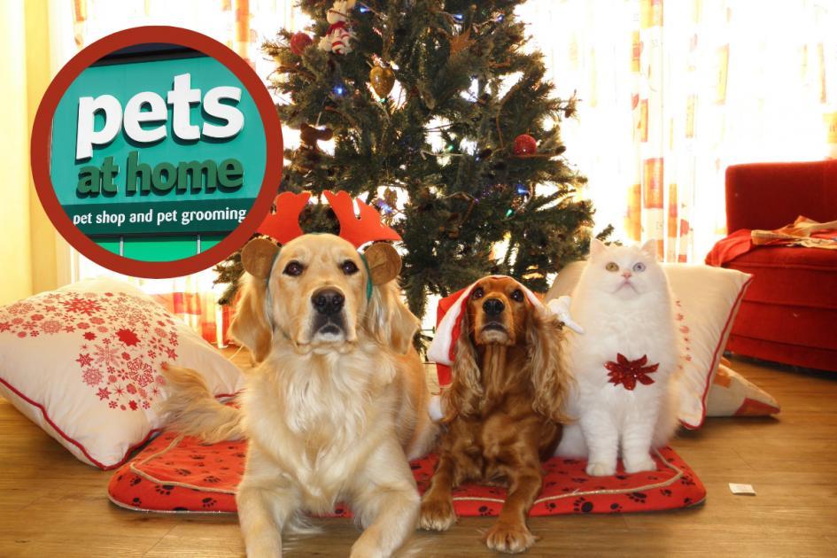 Pets at Home reveals Christmas opening hours change for shoppers | The  Bolton News