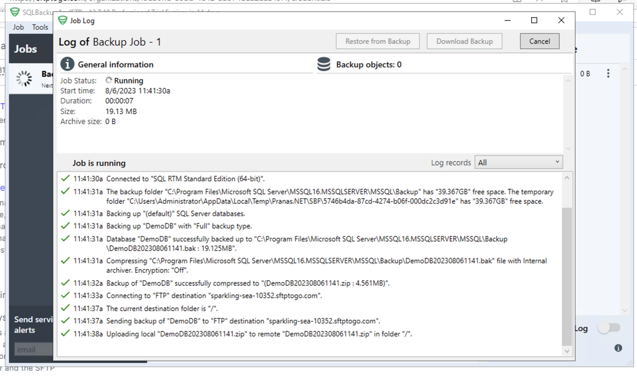 Clicking See Web Log to view your backup log via the SQLBackupAndFTP Job tab