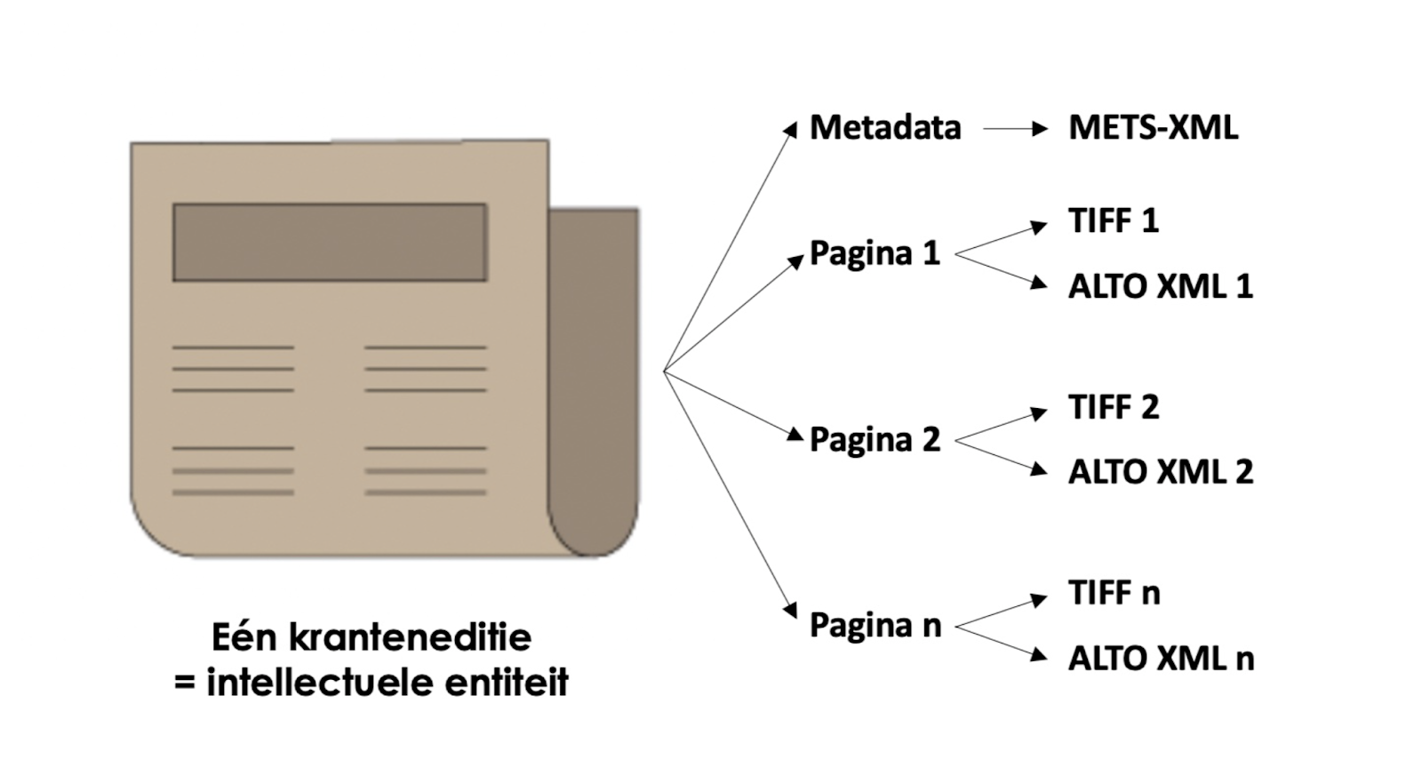 Afbeelding31.png