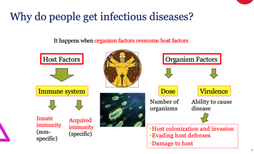 2-1. Microbial Evasion + Immune Response, 2-2. Autoimmunity and  Immunopathology Flashcards | Quizlet