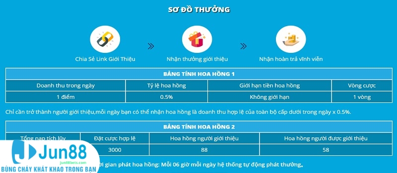 Miễn trừ trách nhiệm nếu sai sót từ phía người chơi