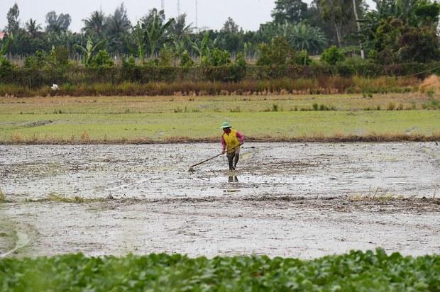 Kiên Giang: đóng bảy cửa cống Cái Lớn để ngăn mặn