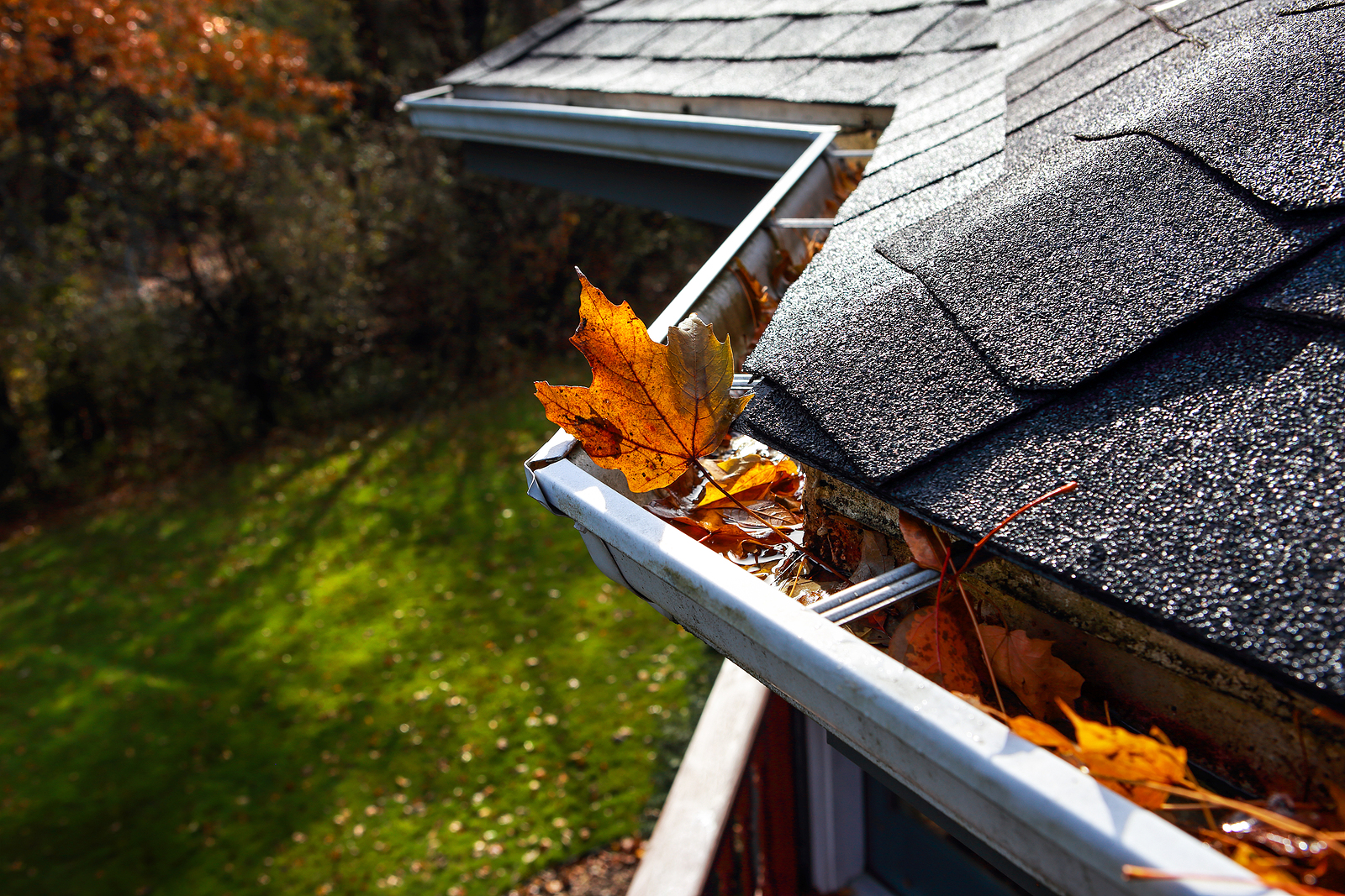 Roof maintenance in Wisconsin - First Quality Roofing