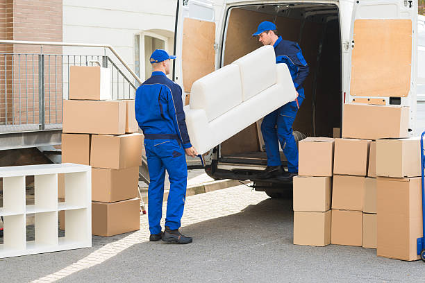 great customer service, professional movers