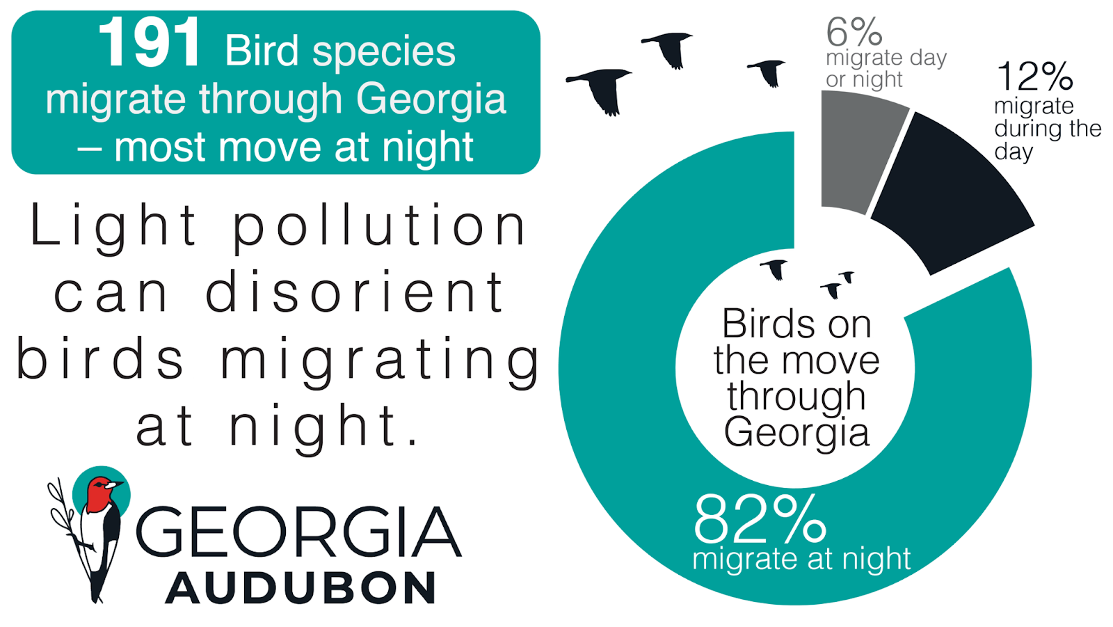 Georgia Audubon graphic indicating that 191 bird species migrate through Georgia -- 82% of births that move through Georgia migrate by night.