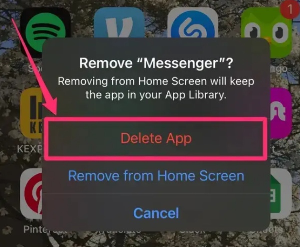 Remover aplicativo do aplicativo iphone-Delete
