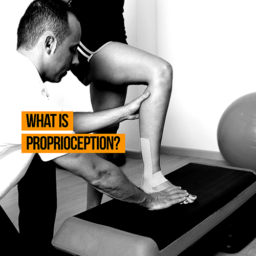 What is Proprioception