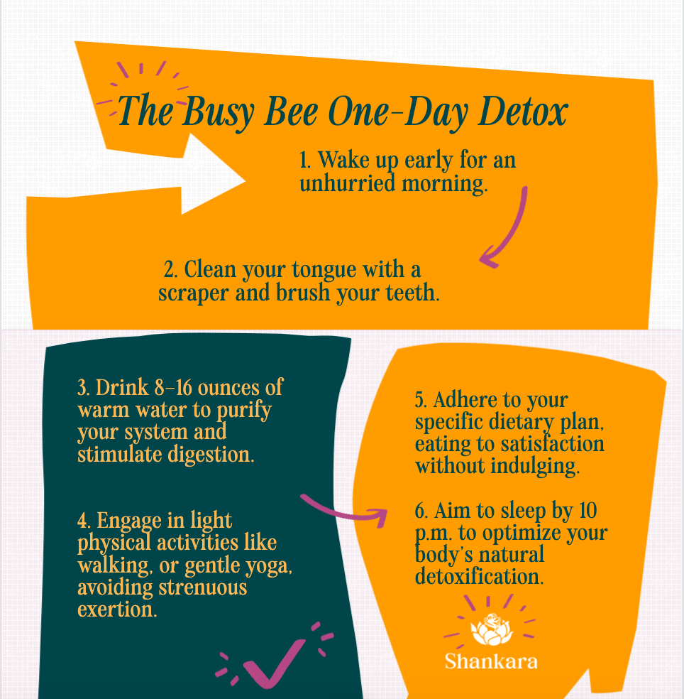 infographic highlighting the Busy Bee Detox: a DIY one day detox for busy people.