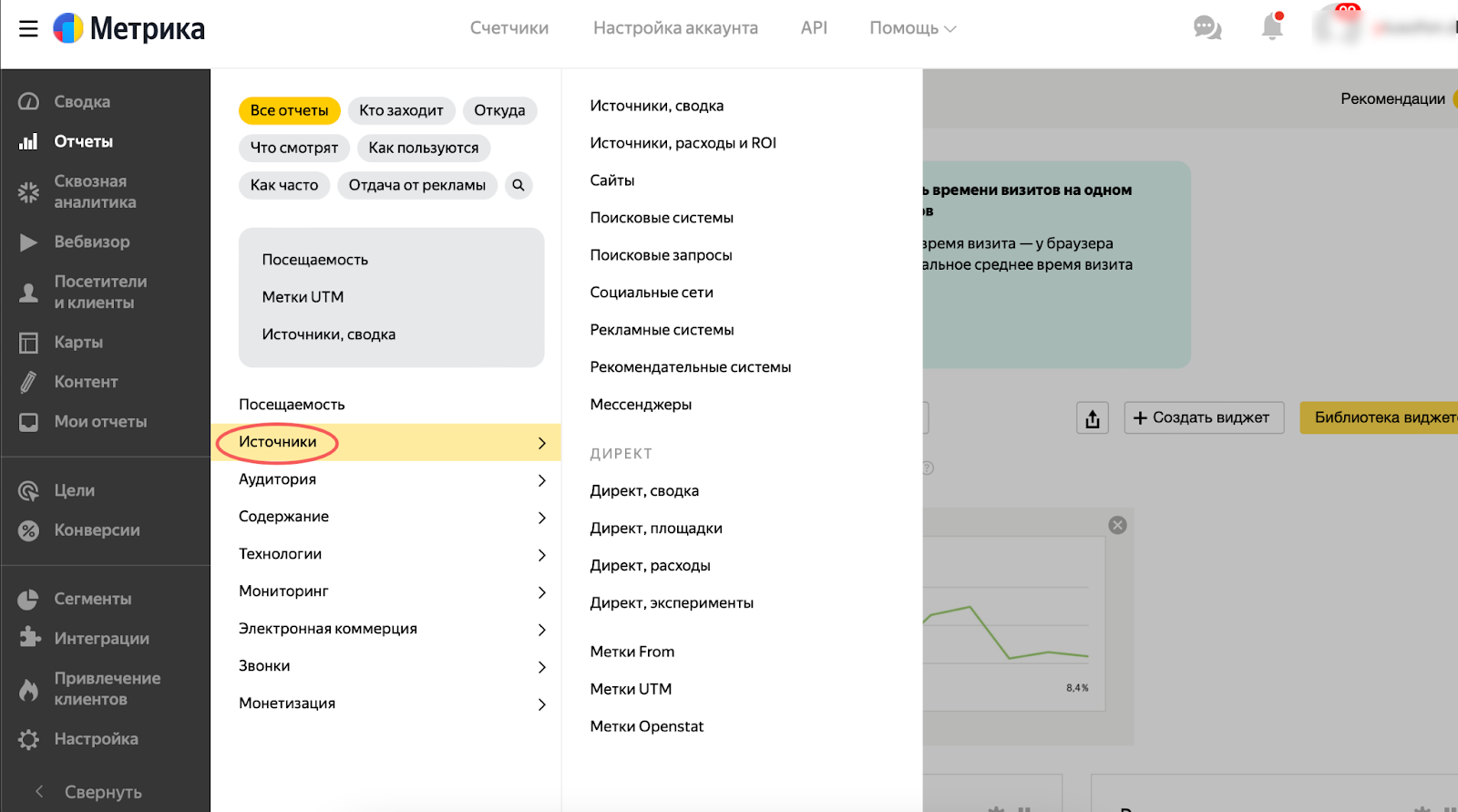 Скриншот из личного кабинета Яндекс.Метрики. Один из примеров отслеживания лидов.