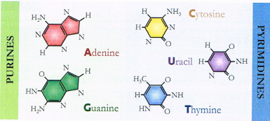 Diagrama, Esquemático

Descripción generada automáticamente