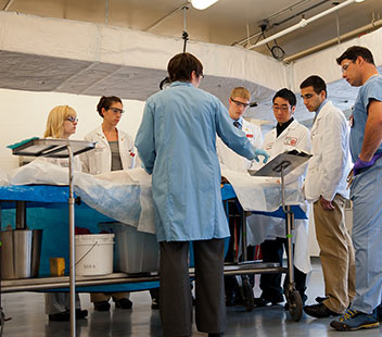Medical doctor hands-on teaching with medical students around a patient bed