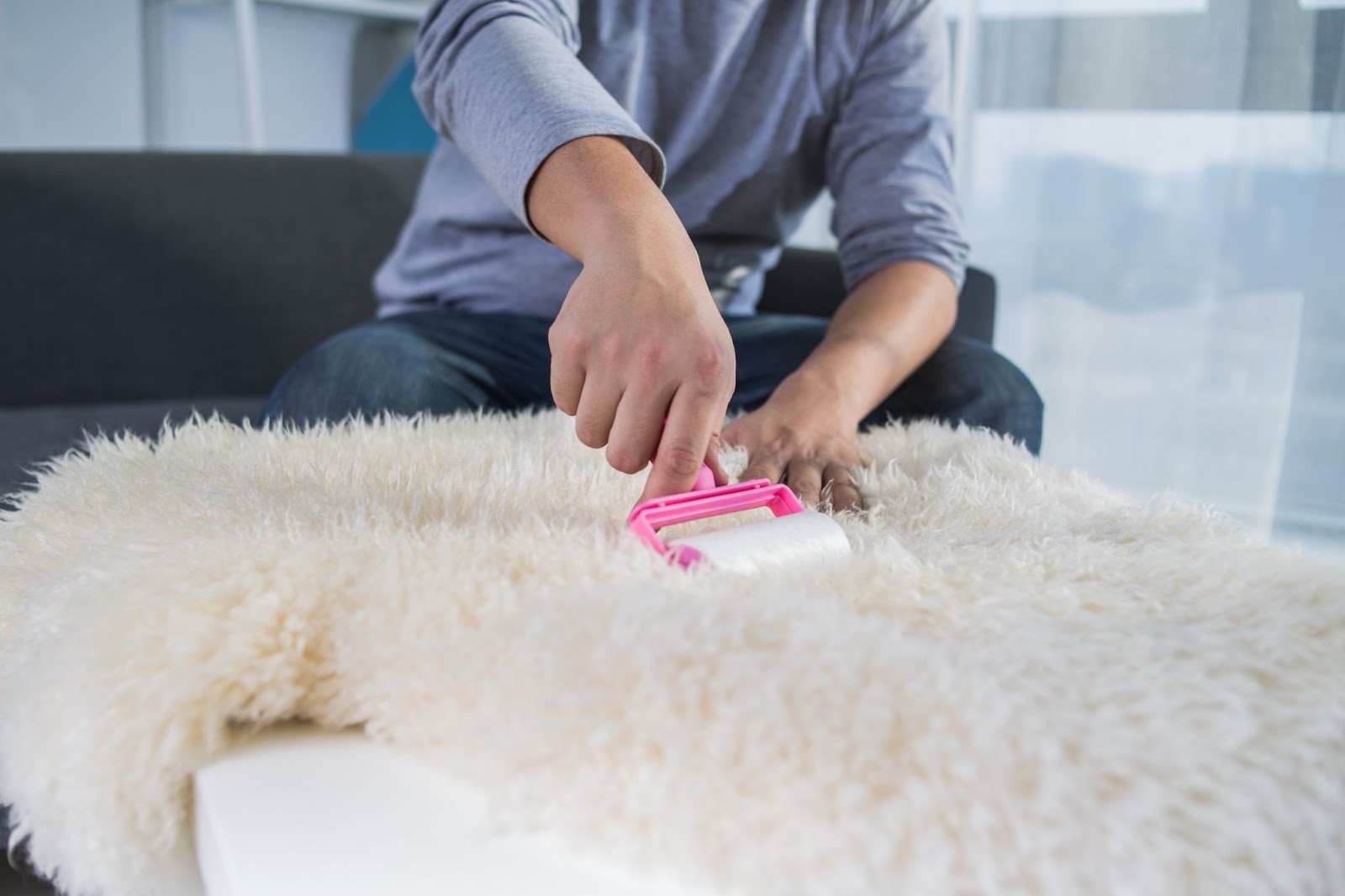 Cara menghilangkan bulu kucing di karpet