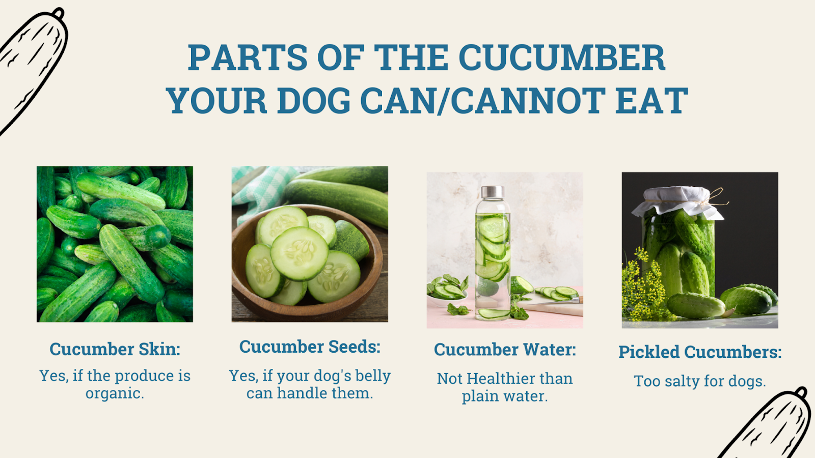 Parts of the cucumber dogs can and cannot eat