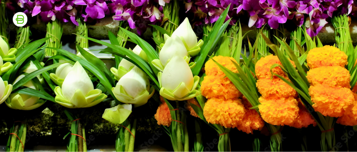 Imagen de Flor cortada y gomas elásticas: la combinación perfecta para que los arreglos florales se mantengan frescos