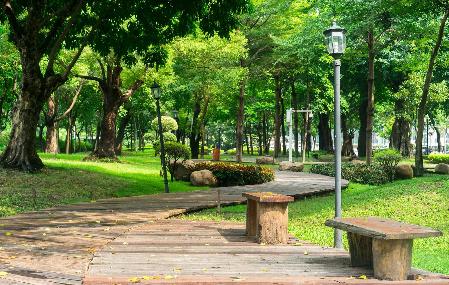 Top 9 công viên lớn nhất ở TPHCM | Visithcmc.vn - Du lịch Thành phố Hồ Chí  Minh - Sống động từng trải nghiệm!