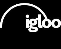 Image of Igloo Vision logo