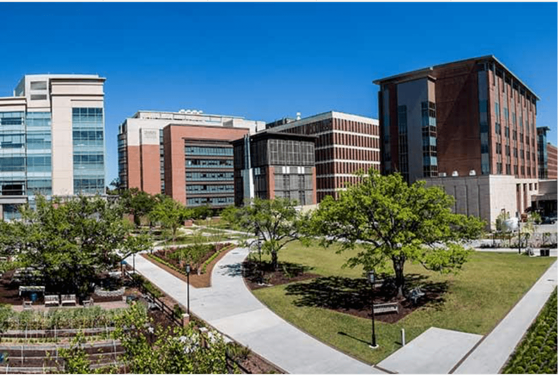 Image of the Medical University of South Carolina (MUSC) College of Medicine campus in Charleston, SC, surrounded by greenery and buildings.