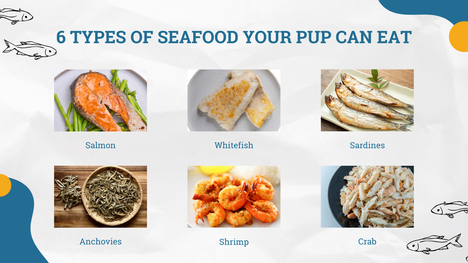 6 types of seafood your pup can eat