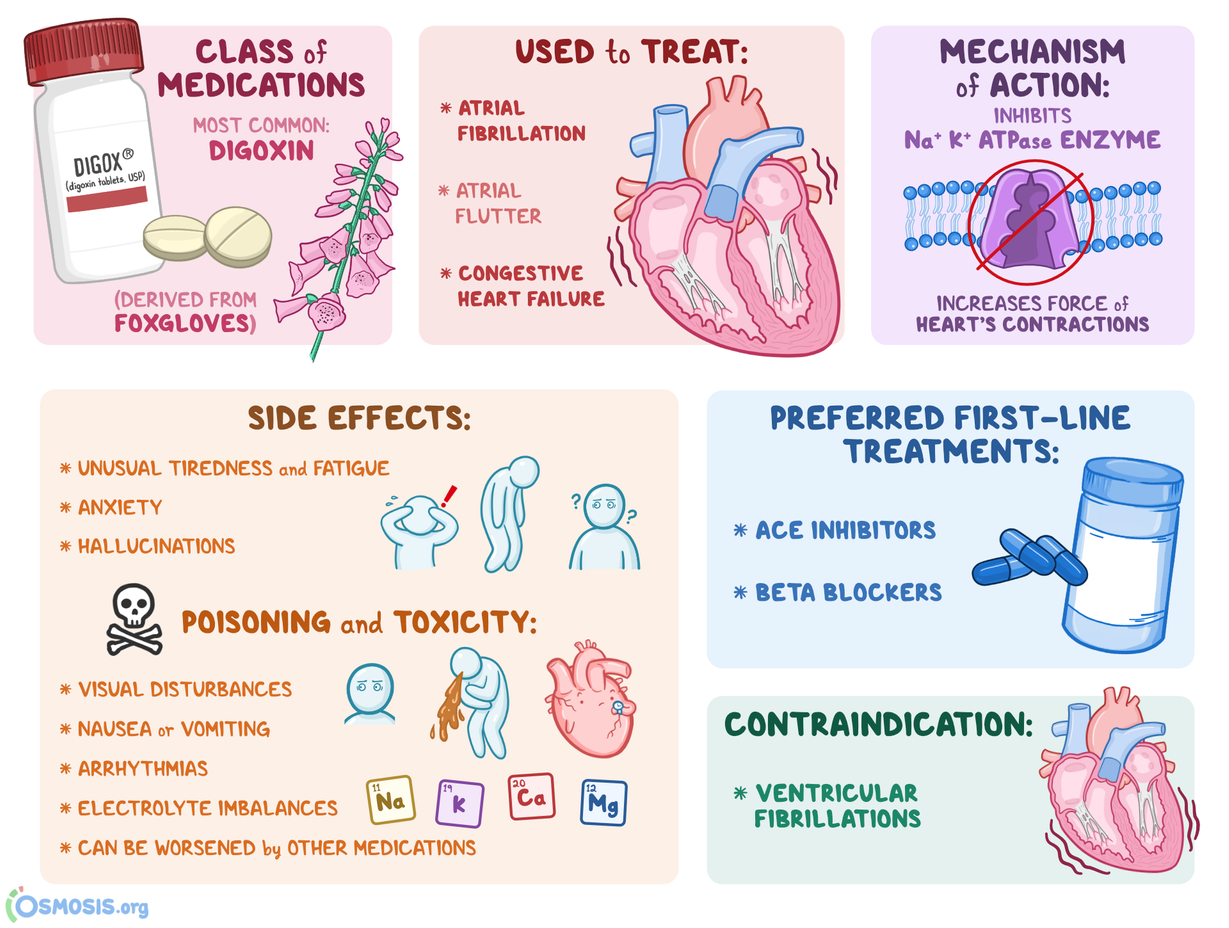 A diagram of medical information

Description automatically generated with medium confidence