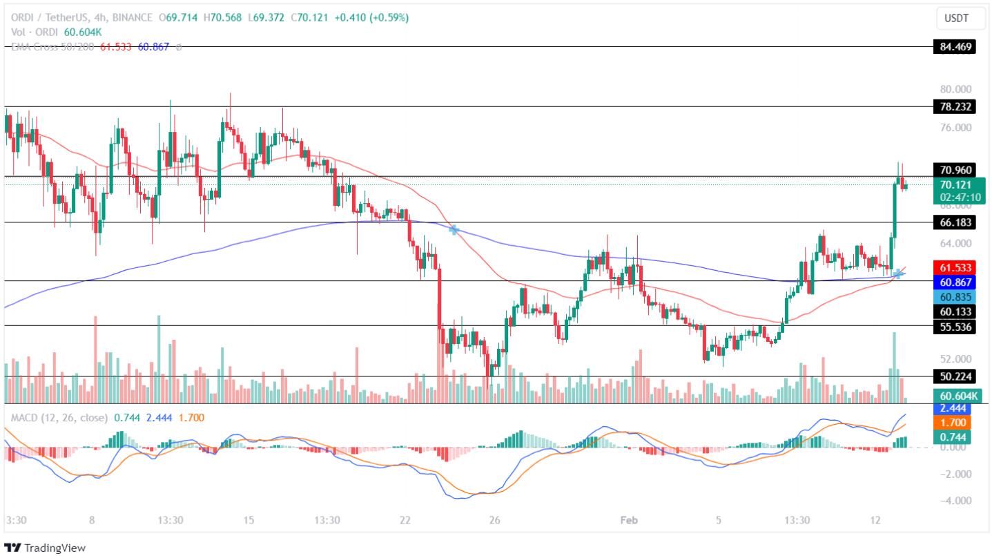 ORDI Price Analysis