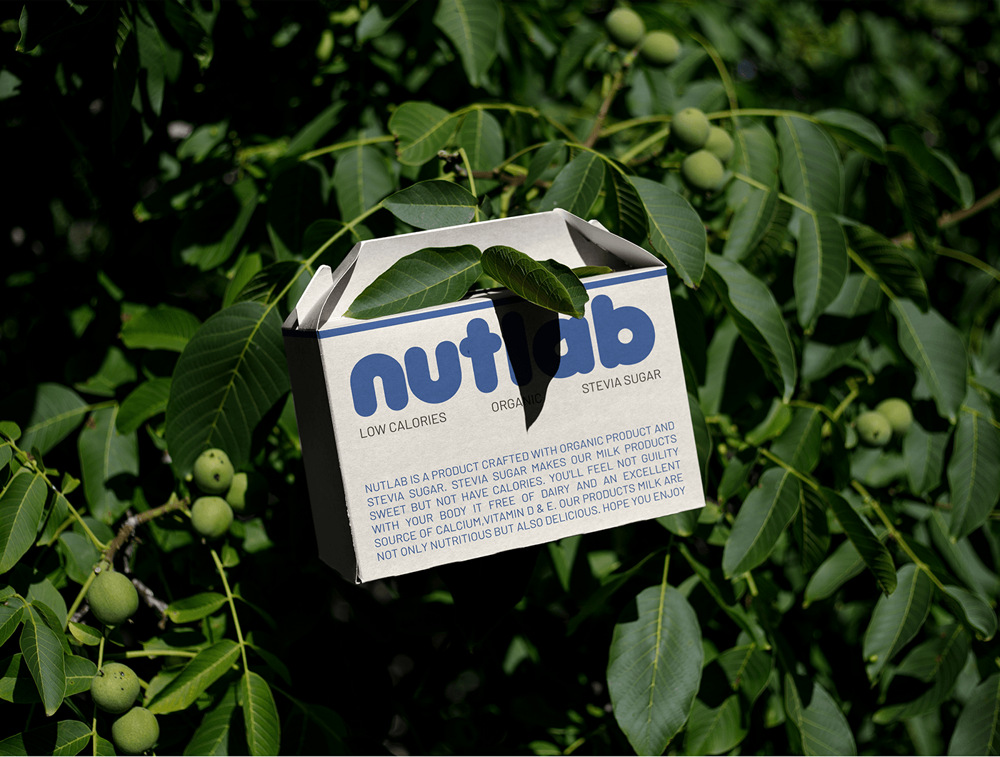 nuts nut milk almond milk brand identity milk branding  visual identity milk branding milk brand Brand Design